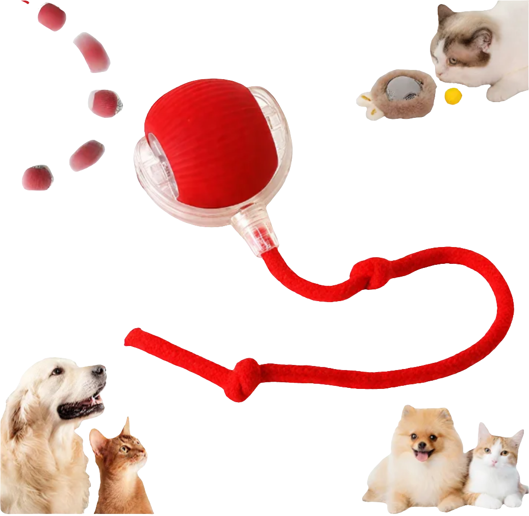 Smart Ball with tail accessories