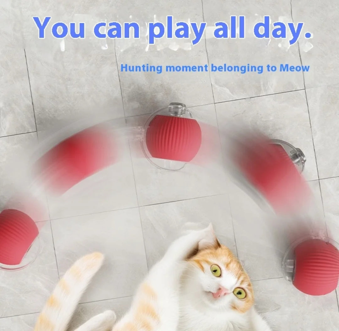 Smart Ball with tail accessories