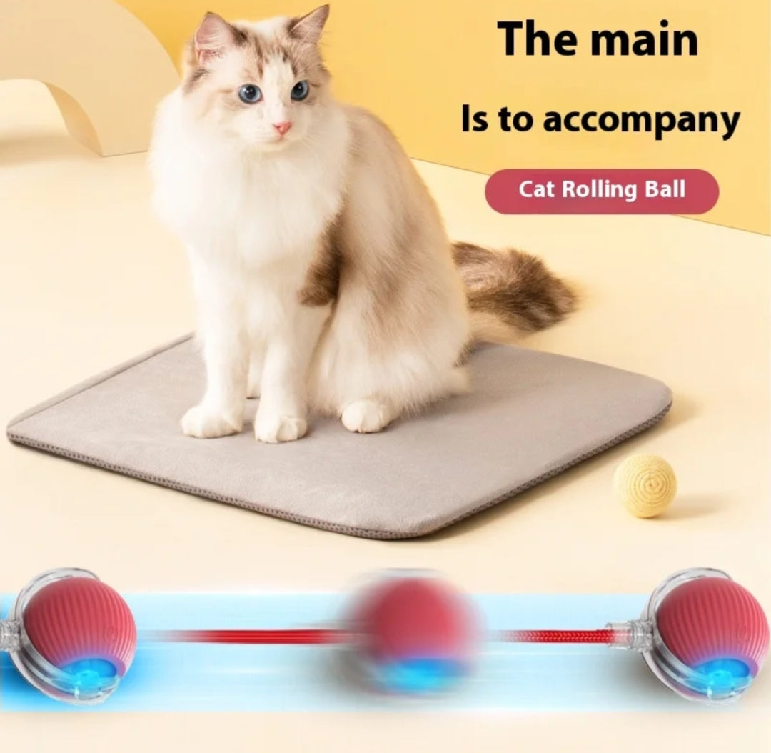 Smart Ball with tail accessories