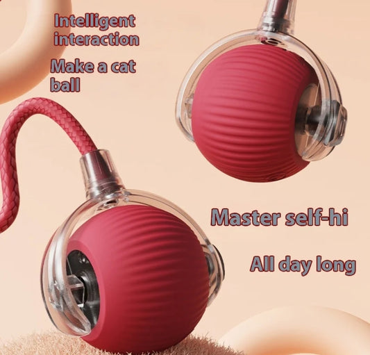 Smart Ball with tail accessories