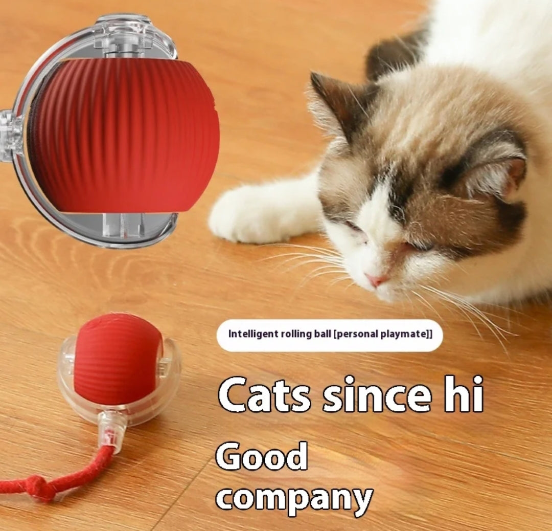 Smart Ball with tail accessories